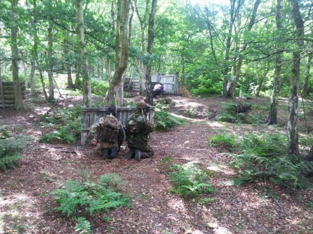 Looking for the enemy